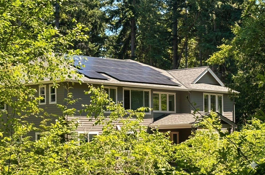 Texas is Open for Business: A Pacific Northwesterner’s Solar Report from Oil Country