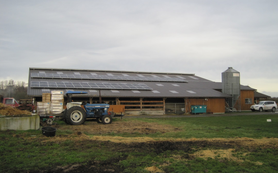 Dungeness Valley Creamery, 22.23kw Solar World, Sequim 2015